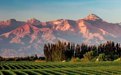 Mendoza: Tierra del Vino y la Aventura