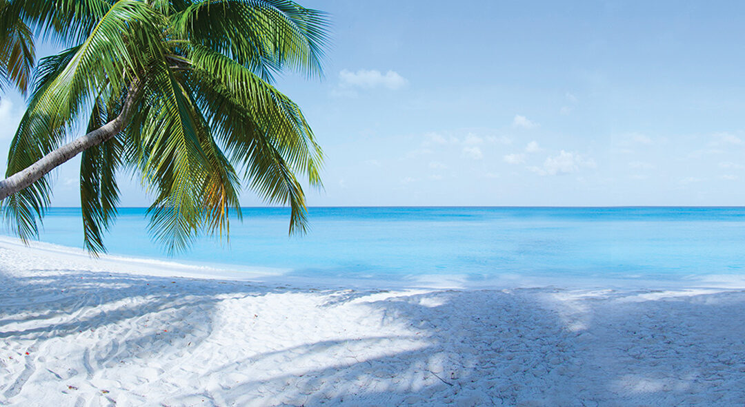 Islas Caimán se destaca en Virtuoso Connects Latin America & Caribbean