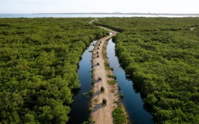 Descubrí los tesoros escondidos de Islas Caimán