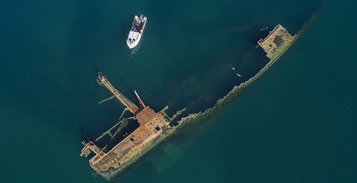 Puerto Madryn se prepara para una temporada de verano inolvidable en la costa patagónica