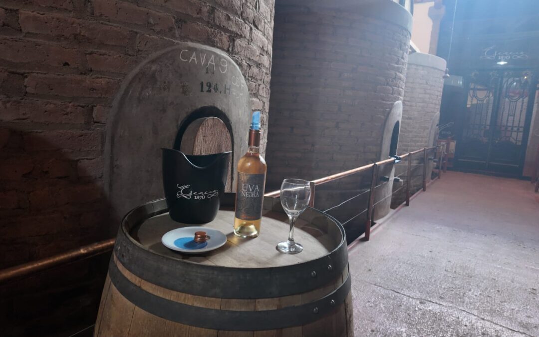 Maipú se afirma como parada imprescindible en la ruta del vino argentino y la olivicultura.