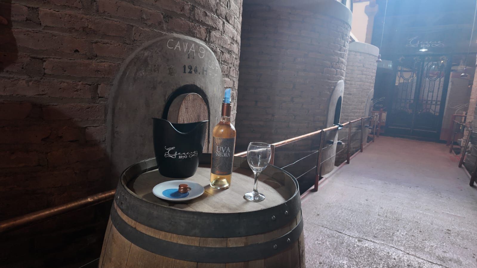 WhatsApp Image 2026-02-23 at 17.07.11