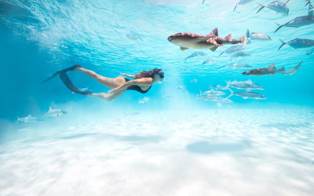 Belize será sede de la Caribbean Sustainable Tourism Conference (STC) 2026