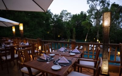 Sabores de la selva: una experiencia pop-up que transforma la gastronomía en Iguazú